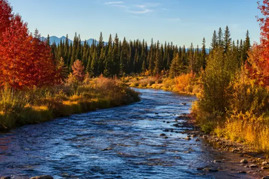 Autumn forest and river landscape